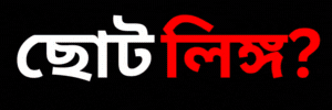 GIF Banner